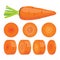 Vector whole single carrot and chopped carrot slices