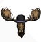 Vector wild moose, elk portrait. Moose head, face. Bowler hat.