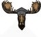 Vector wild moose, elk portrait. Square academic cap, graduate cap, cap, mortarboard. Moose head, face.