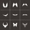 Vector wing icon set