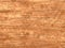 Vector wood texture for background