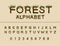 Vector work of Forest font. Uppercase alphabet and numbers.