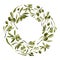 Vector wreath with olive tree. Nature frame with vegetables with leaves