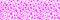 Vector y2k aesthetic barbiecore seamless leopard pattern. Luxury wildlife glamour pink repeat. Jaguar fur safari seamless backdrop