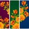 Vector yellow Rose frames. Set of floral vertical banners