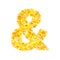 Vector yellow stars font, ampersand