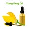 Vector ylang ylang cananga natural oil. Essential oil, cosmetics, spa