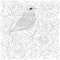 Vector zentangle Bird. Cartoon exotic and tropical hummingbird o