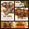 Vector zoo sketch poster wild giant animals