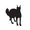 Vectored cat and dog together