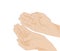 Vectorized Hands