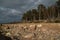 Veczemju Klintis - Boulder beach in Baltic country Latvia in April 2019 - Cloudy sky with dull clouds and a bit of sun