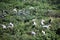 Vedanthangal Bird Sanctuary - Chennai - Tamil Nadu - India images on 02 02 2020