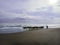 A veey beautiful view of the beach with a cowherd hearding the cows on the beach