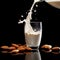 Vegan almond milk, non dairy alternative milk.Organic