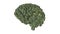 Vegan brain brain built from broccoli plants  - 3D illustration