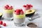 Vegan Chia pudding with raspberries