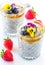 Vegan Chia seed pudding with blueberries