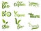 Vegan Design label Set Vector designer elements set collection