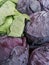 Vegan Diet / Green and Purple Cabbage