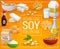 Vegan food, 100 percent natural soy products