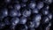 Vegan Food Delight: A Closer Look at Plump and Flavorful Blueberries