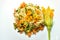 Vegan food : squash blossom pasta