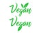 Vegan lettering with leafs icons isolated. Ecology product. Vegetarian logotype