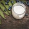 Vegan, organic yogurt, wild blueberries and fern leave on a wooden table