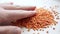 A vegan pours a handful of raw red lentils from his hand onto a table or white surface.