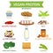 Vegan protein info graphic, icon food vector, illustration