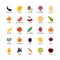 Vegan silhouettes color icons bio ecology organic logos and badges vegetables fruits analysis design elements fruit