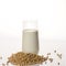 Vegan soy milk, rice milk, oat milk, dairy-free alternative milk. Soybeans