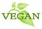 Vegan symbol with green leafs isolated