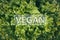 Vegan text on a bunch of fresh, green batavia lettuce salad leaves. Bio food, healthy diet symbol. Organic vegetarian nutrition,