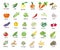 Vegan, vegetarian set of icons with vegetables. Natural colors. Vegetables, mushrooms, grass and roots. Proper nutrition. Vegetabl