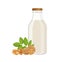 Vegan walnut milk in glass bottle, alternative non dairy drink, vector Illustration on white background