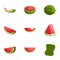 Vegan watermelon icon set, cartoon style