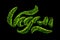 Vegan word inscription lettering made of green luminous circles isolated on black background. Food, dietary and veganism