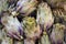 Vegetable background with purple artichokes closeup