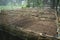 Vegetable bed boxes with soil in the cafe organic garden