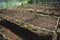 Vegetable bed boxes with soil in the cafe organic garden