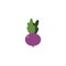 Vegetable beet flat style icon