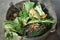 Vegetable biodegradable food waste Metal bucket