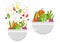 Vegetable bowl and plate. Slices of vegetables. Flat design.