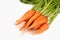 vegetable carrot isolate on white background