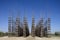 The Vegetable Cathedral in Lodi, Italy, made up 108 wooden columns among which an oak tree has been planted