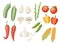 Vegetable collection icon. Set of pepper, garlic, corn, green pea and etc. Agriculture and food icon design. Flat 