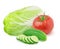 Vegetable composition: tomato, cucumber and Chinese cabbage on a white background.