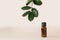 Vegetable cosmetics for body care in beauty salons. Bottle with aromatic natural oil on a beige background with green zamiokulkas